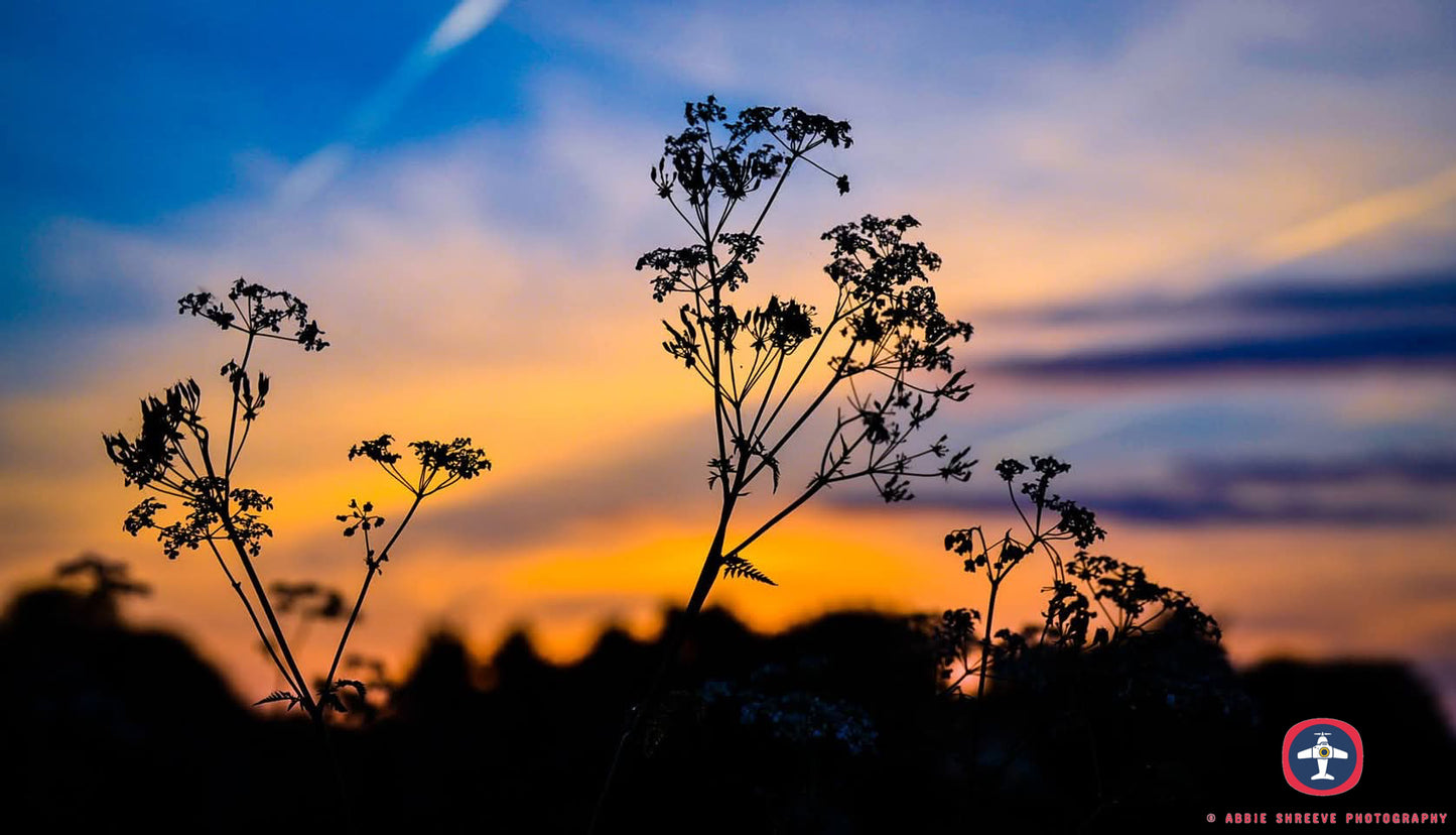 Sunset in Norfolk