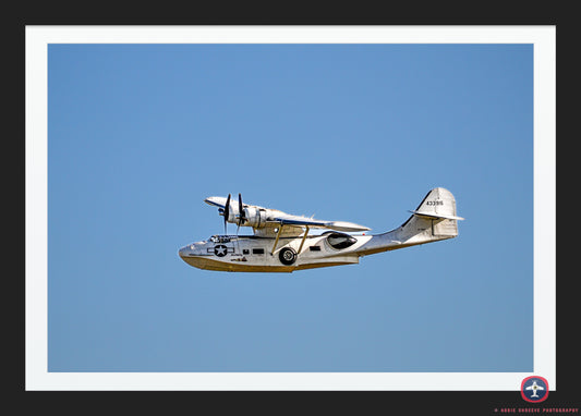 Graceful Catalina flying