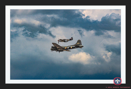 Sally B.
