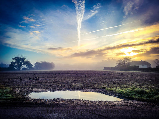 Beautiful sunrise